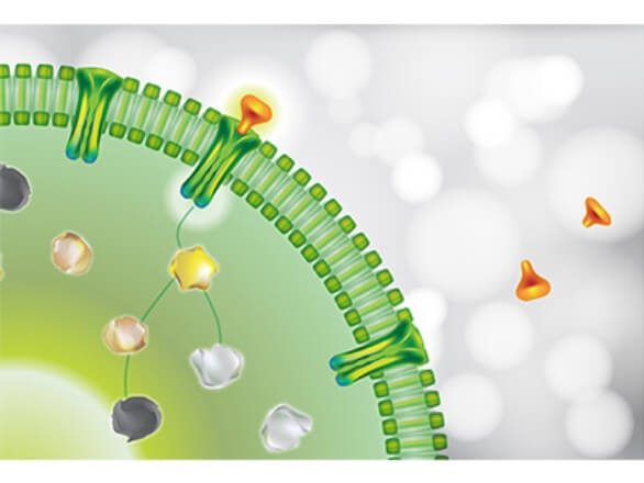 株式会社Epsilon Molecular Engineering