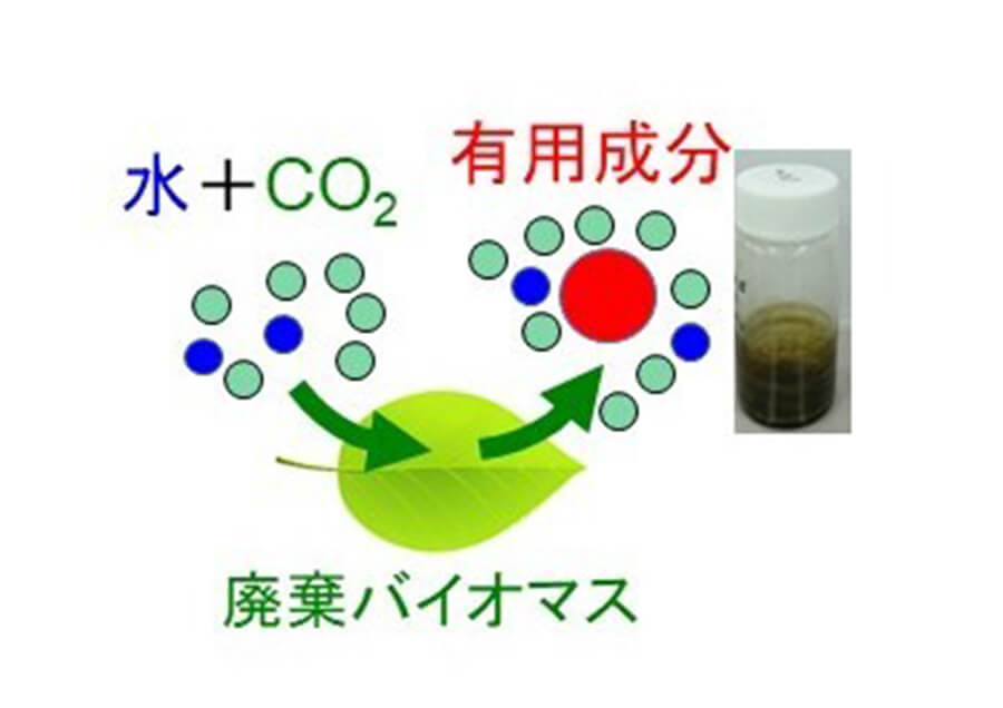 環境調和型溶媒による未利用資源からの有用成分回収