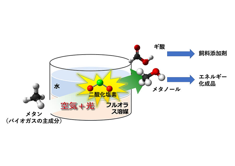 バイオガスの化学変換技術で炭素循環型酪農を実現