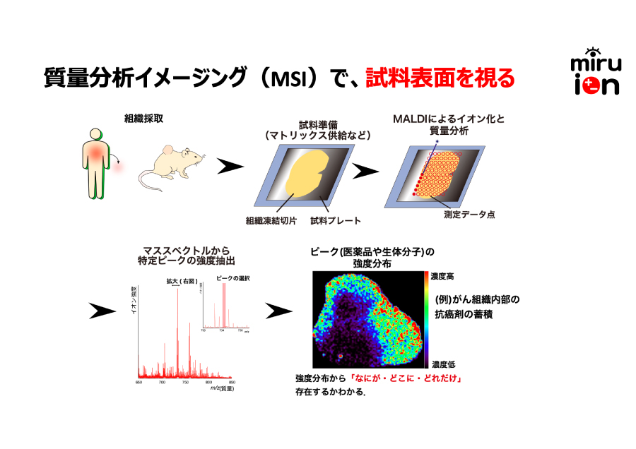 毛髪検査によってあらゆる健康履歴を可視化する