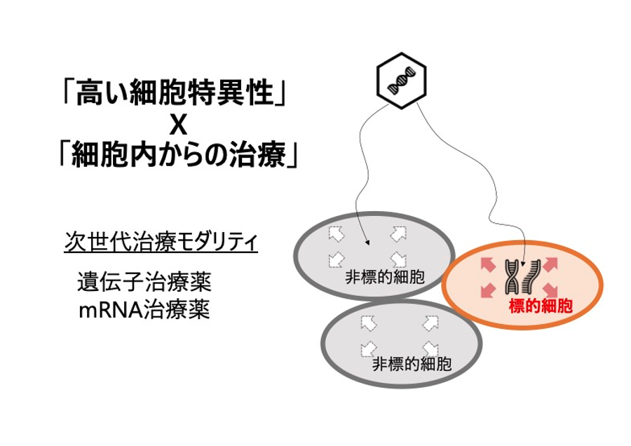 mRNA医薬による生体内細胞制御・リプログラミング