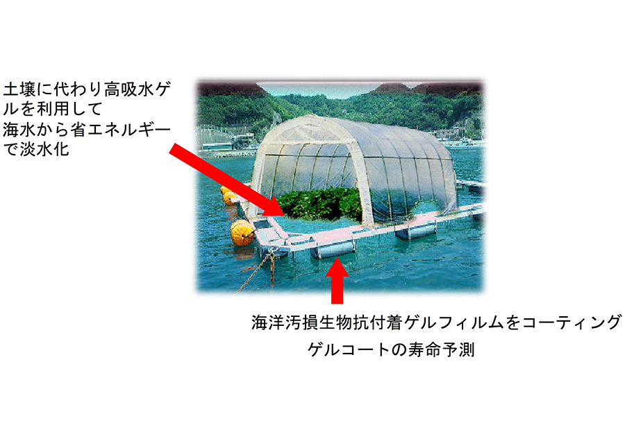 低エネルギーで実現する海上農園