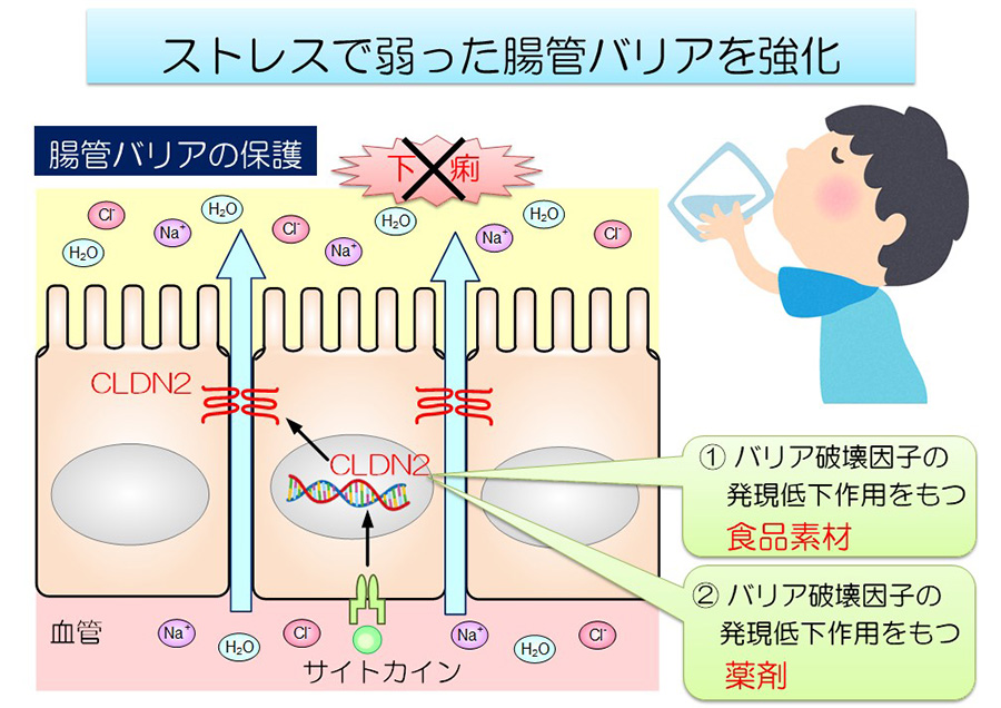 ストレス性腸疾患のゼロ社会の実現