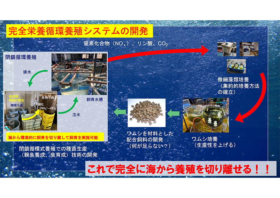 海から切り離した魚類養殖の実現