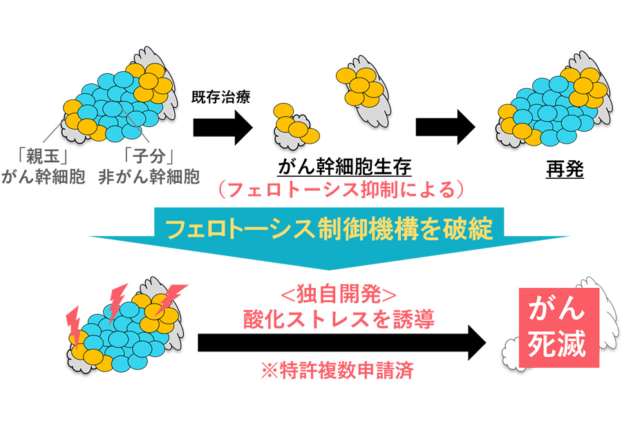 フェロトーシス創薬