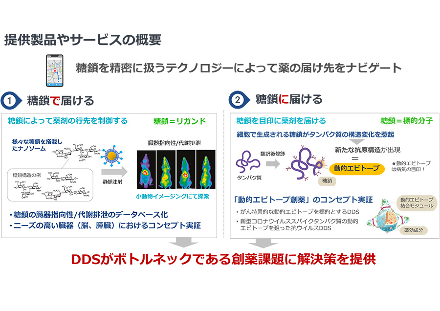 糖鎖を使いこなして薬の「届け先」をナビゲートする