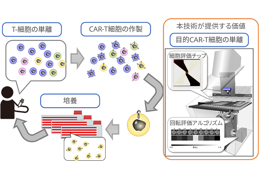 細胞の回転でわかるラベルフリーな電気特性評価装置