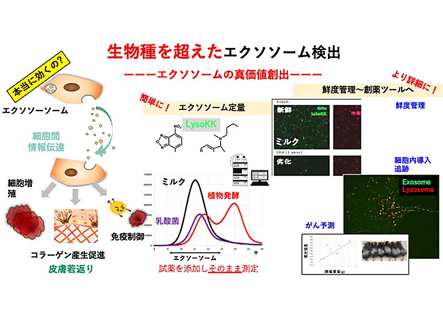 生物種を超えたエクソソームの定量と品質規格策定