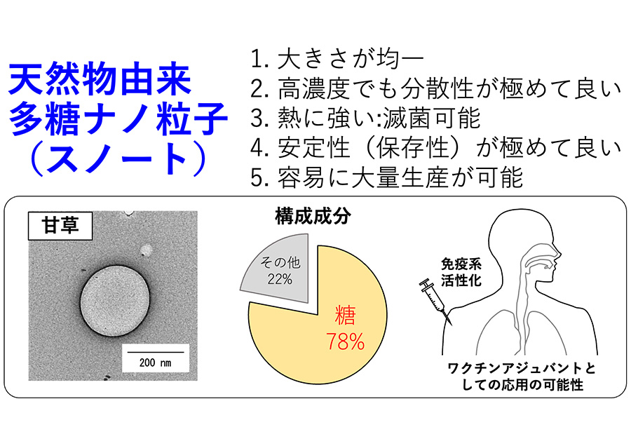 天然物由来多糖ナノ粒子での健康食品・ワクチン開発