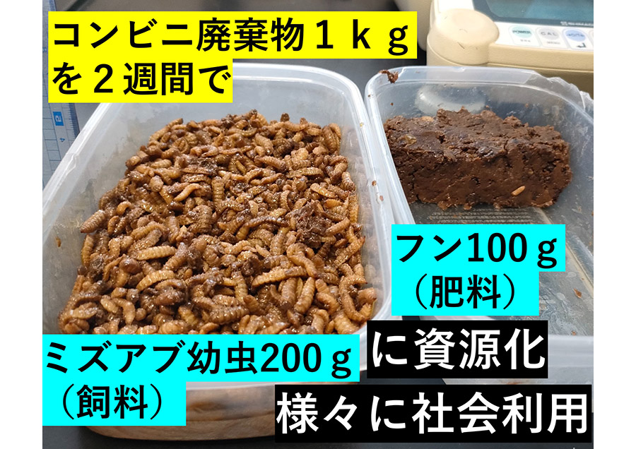 食品廃棄物の省スペース高効率資源化と総合的利活用