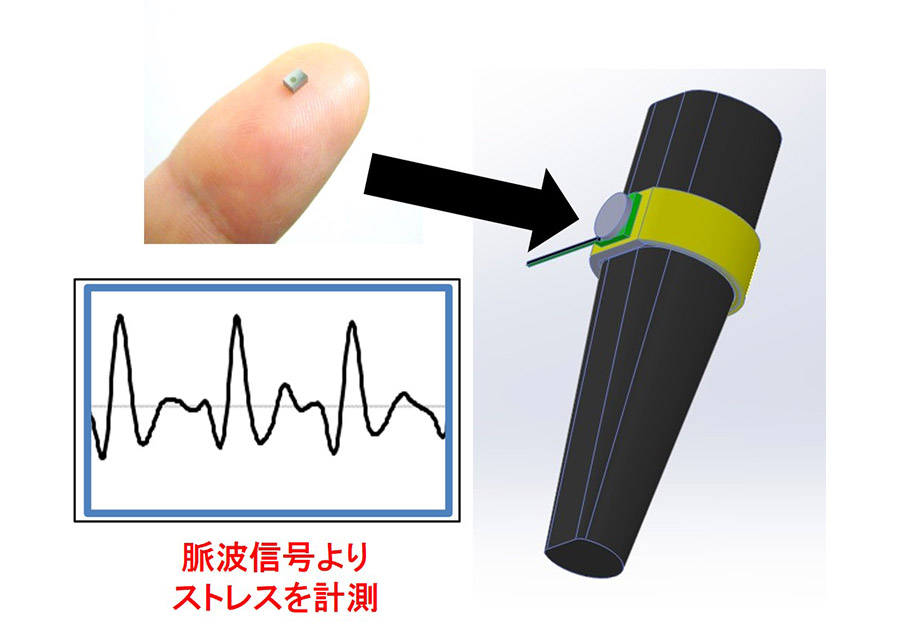 動物のストレスを可視化するウエアラブルセンサ