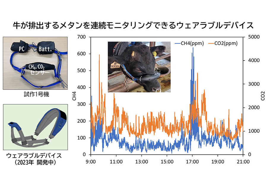 畜産でのメタン削減を加速する計測システムの開発