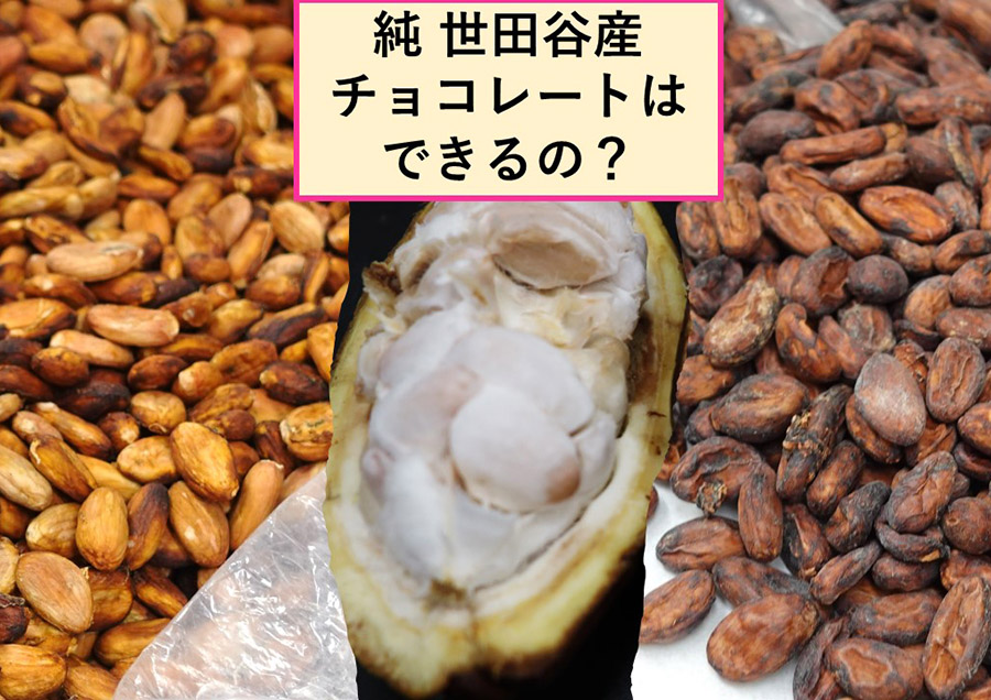 世田谷産チョコレートを造る