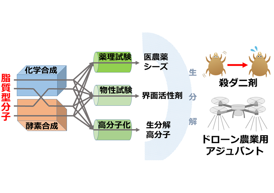 スマート農業を目指した脂質型生分解性素材の開発