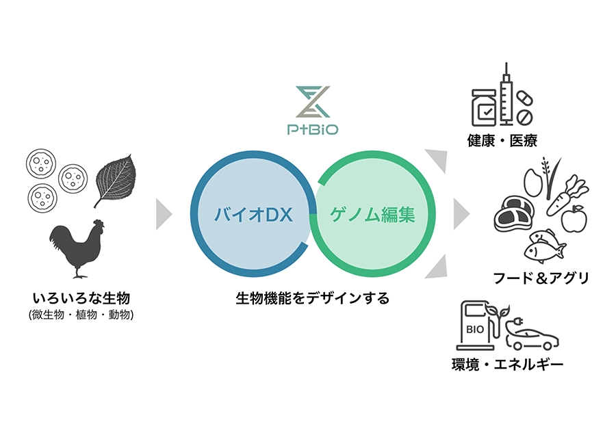 生物機能をデザインするプラットフォーマー