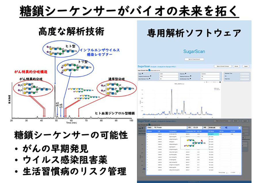データベース支援型糖鎖シーケンサーの開発