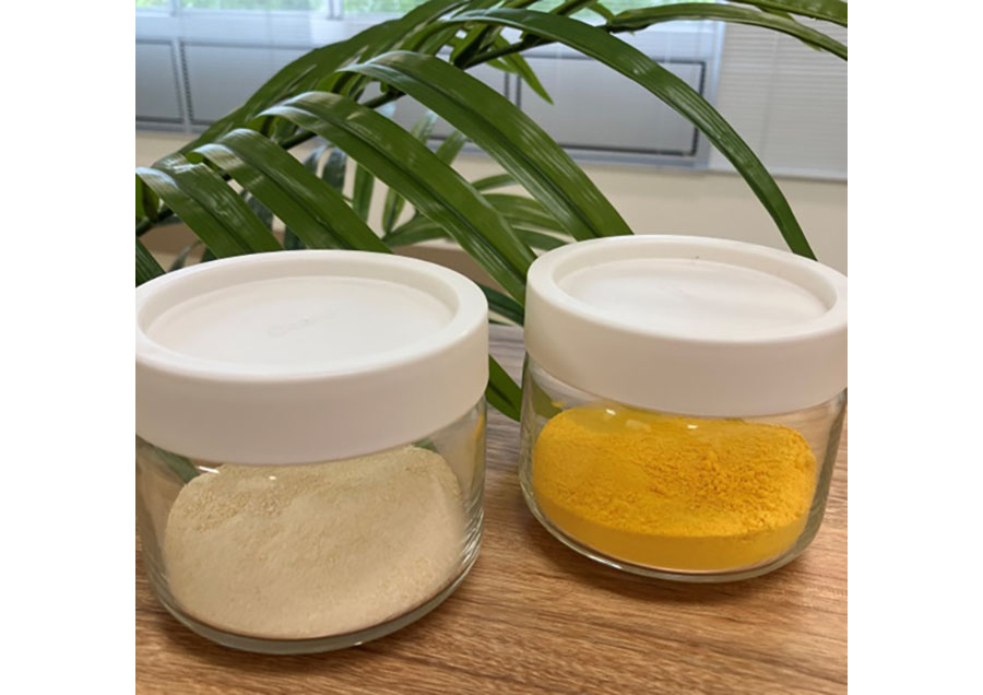 生体適合性・生分解性CO<sub>2</sub>吸収材入りプラスチック