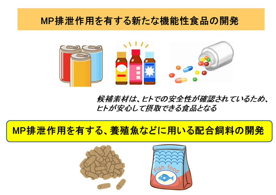 マイクロプラスチックの体外排泄で生物の健康を守る