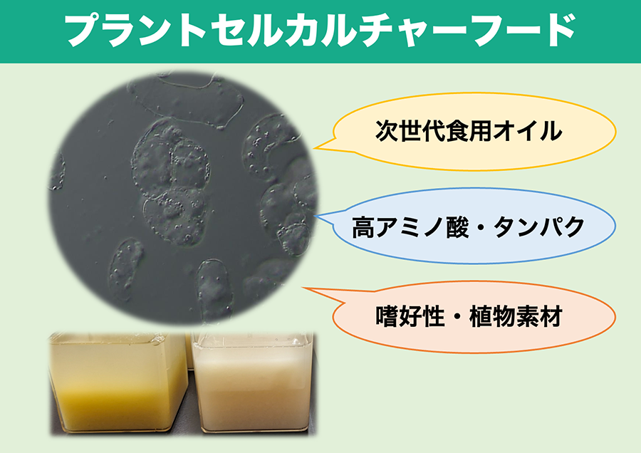 植物の新たな細胞農業により食の未来をプロデュースする