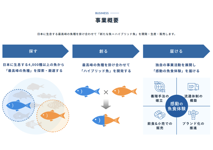 夢の魚を創り出す「ハイブリッド魚」開発事業