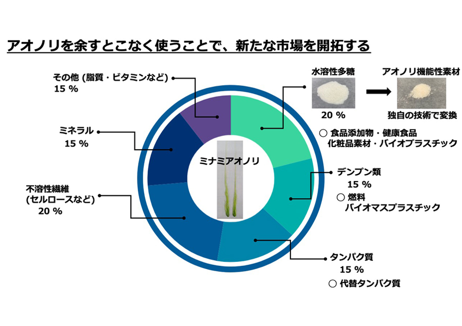 陸上養殖による海藻生産で伝統を繋ぎ未来を切り開く