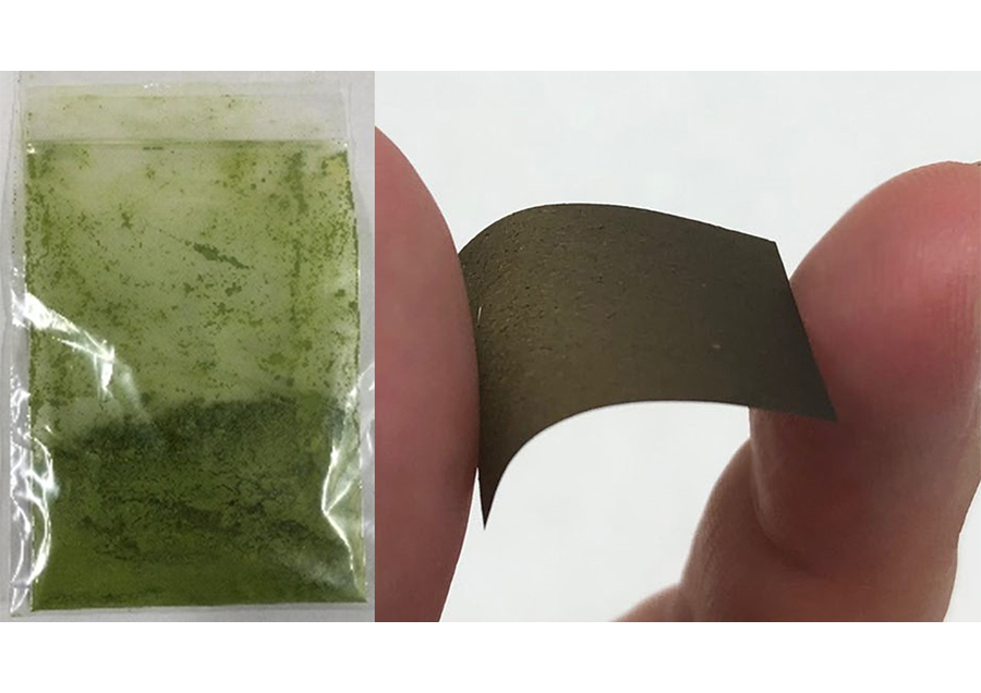 バイオマス溶解技術を利用した植物由来のシート
