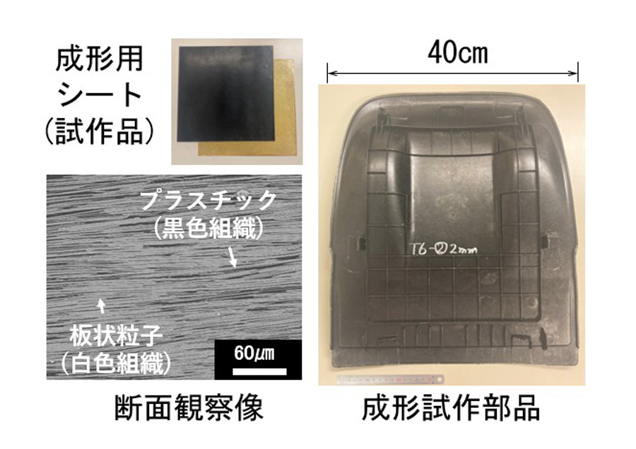 貝殻真珠層に着想を得た低コスト軽量構造材料