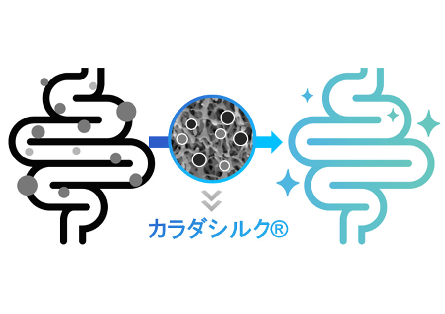 シルクタンパク質の研究で世界を変える