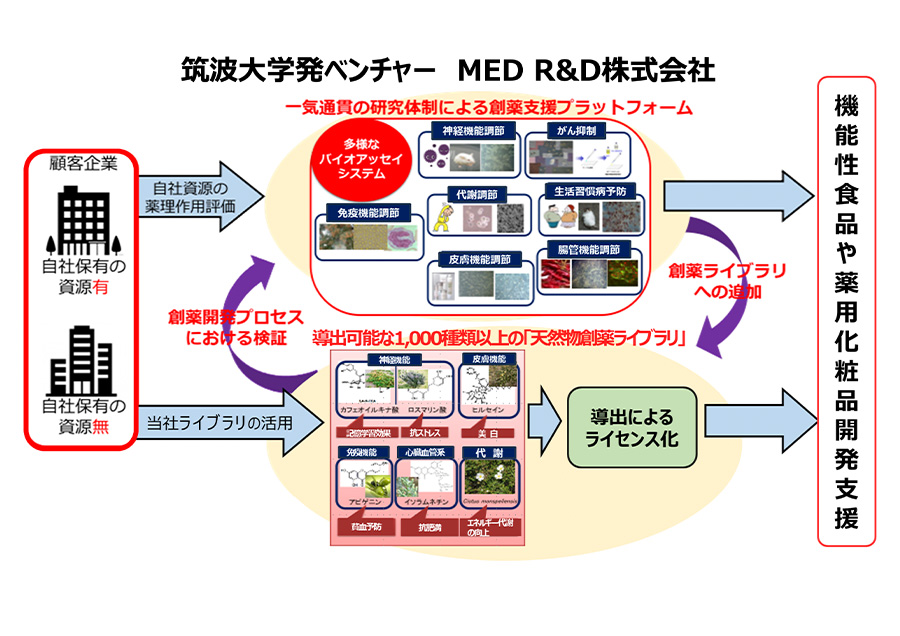 食薬シーズとバイオアッセイによる機能性食品の開発