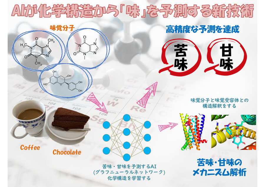 GNNによる苦味・甘味予測モデルの構築