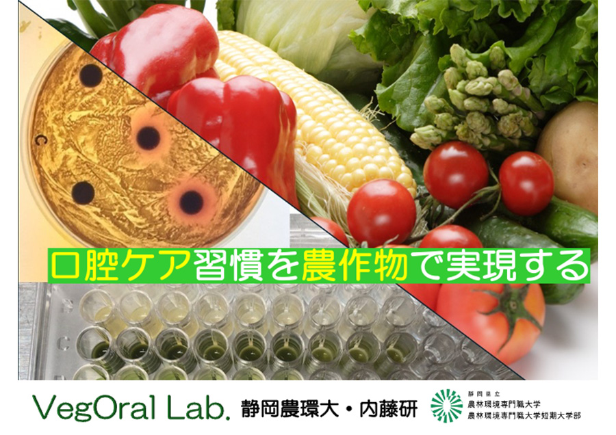 オーラルケアを目的とした成分探索と機能性食品応用