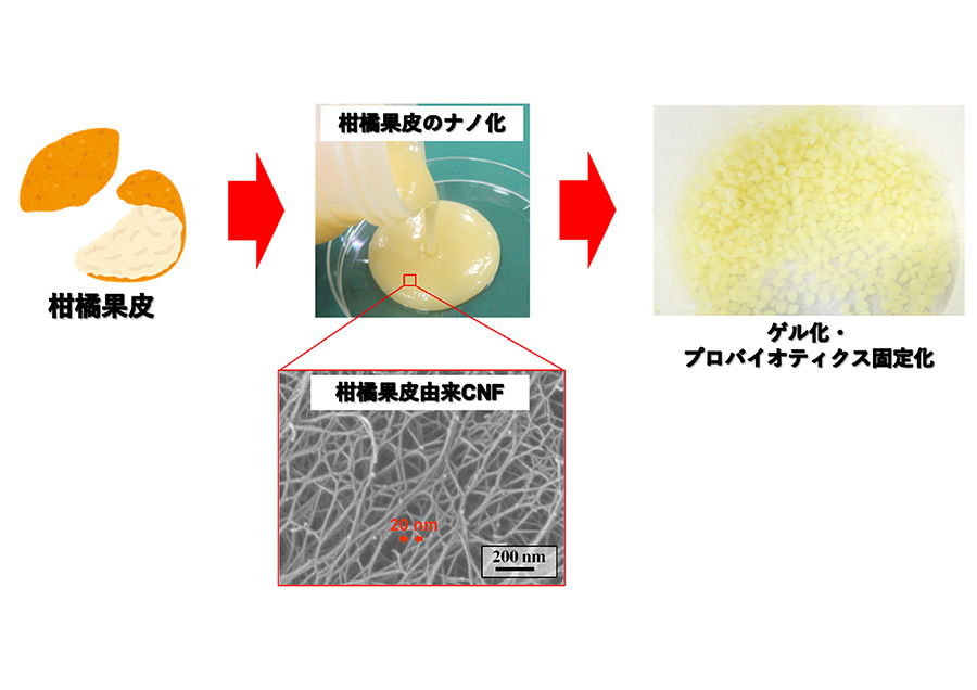 廃棄物バイオマスの一次壁で微生物とヒトを活かす