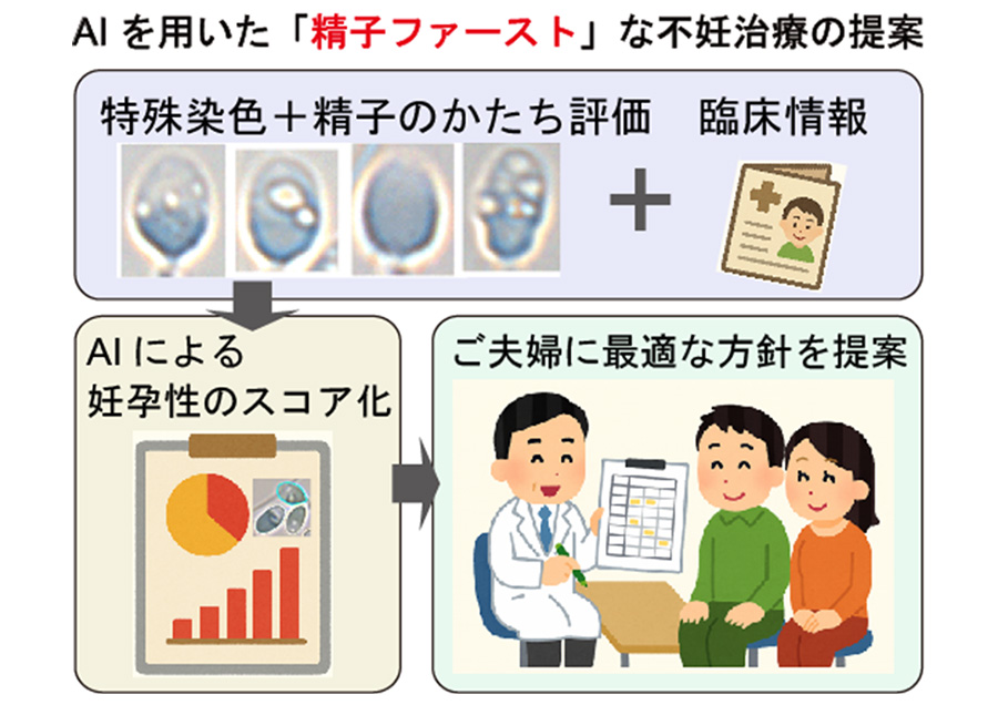 AI技術を活用した精子画像診断ツールの開発
