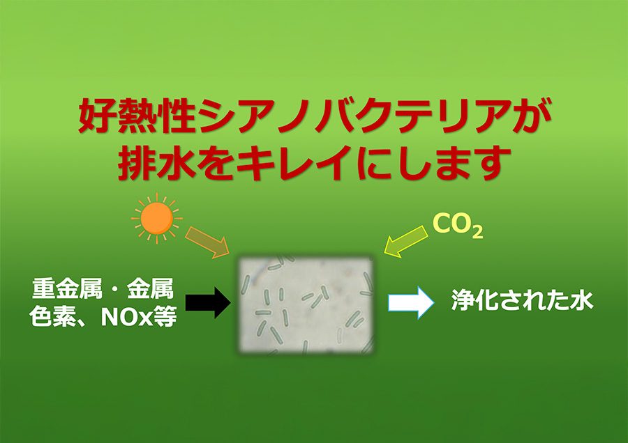 脱炭素社会に貢献する環境浄化システム