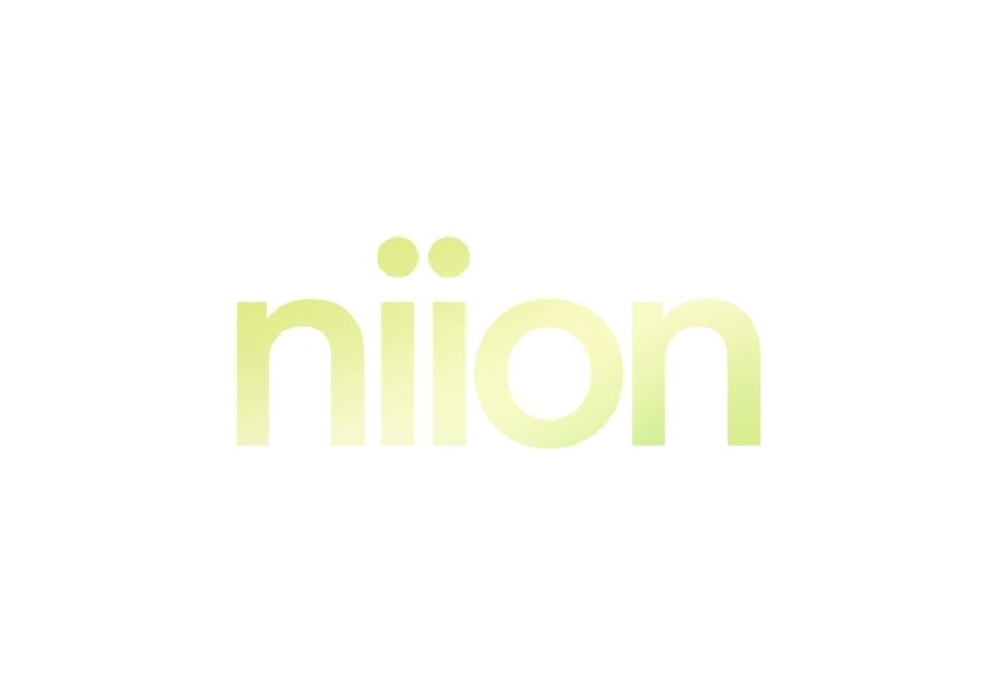 Niion Carbonized Biomass Briquettes, Dependence on polluting traditional fuels (charcoal, coal, LPG) and the environmental impact of unmanaged agricultural waste in rural communities.