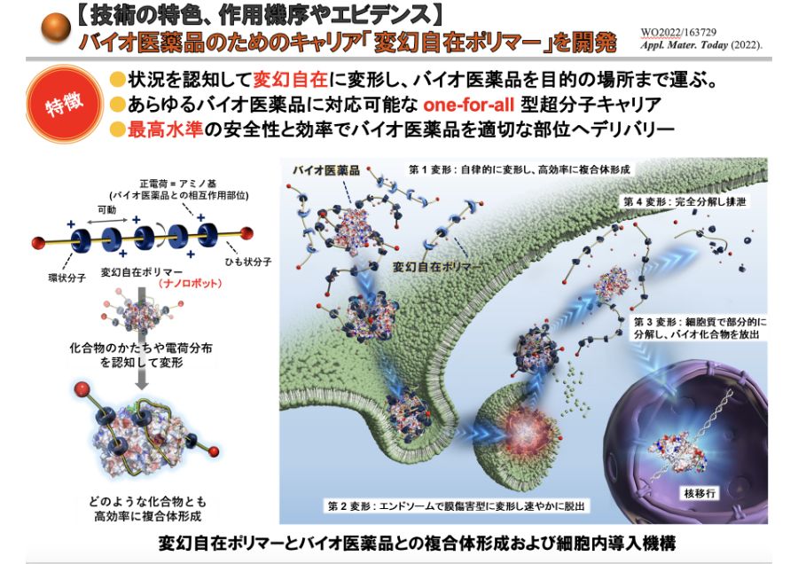 バイオ医薬品の開発を加速させる ナノロボットキャリアの開発