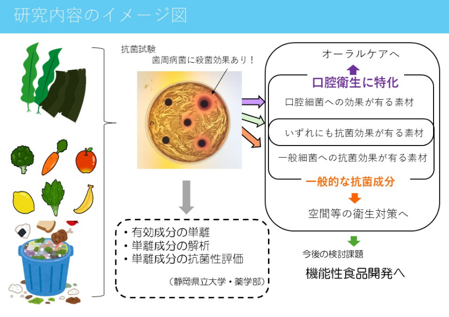 オーラルケアを目的とした成分探索と機能性食品への応用