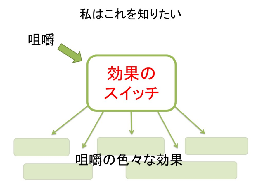 咀嚼の健康効果のメカニズムを解明する