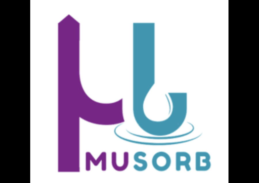 AVAMOS μSORB addresses the issue of increasing pollution from wastewater effluents as well as the surplus waste of green mussel shells in Western Visayas.