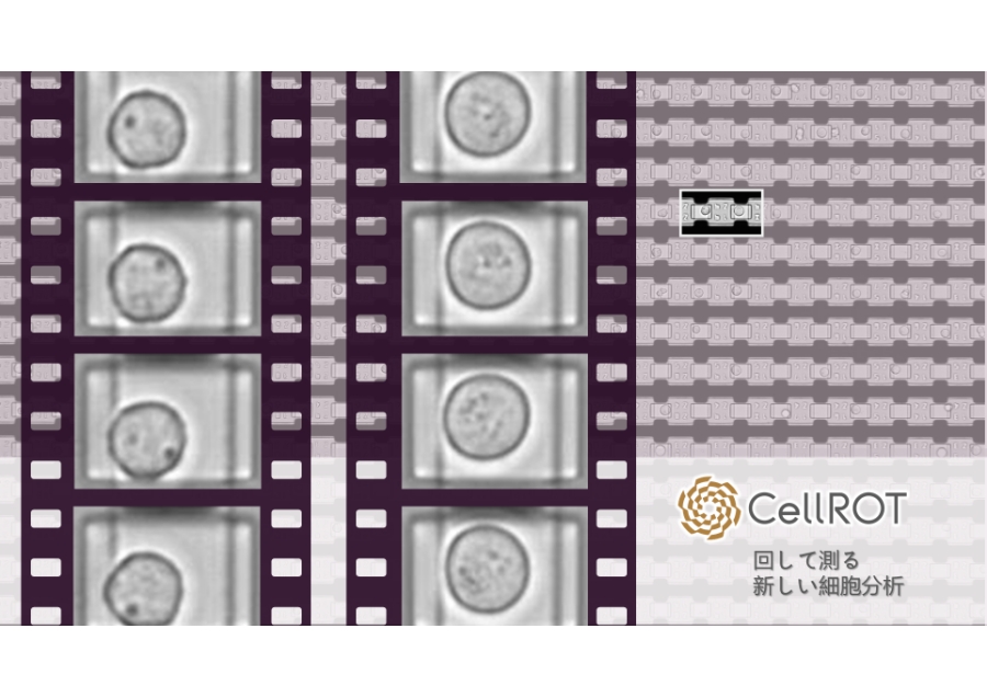 回して測る細胞分析 ―単一細胞を速く正確に提供―