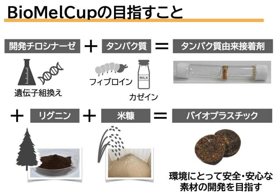 プロテイン・アップサイクルによるバイオプラスチック開発