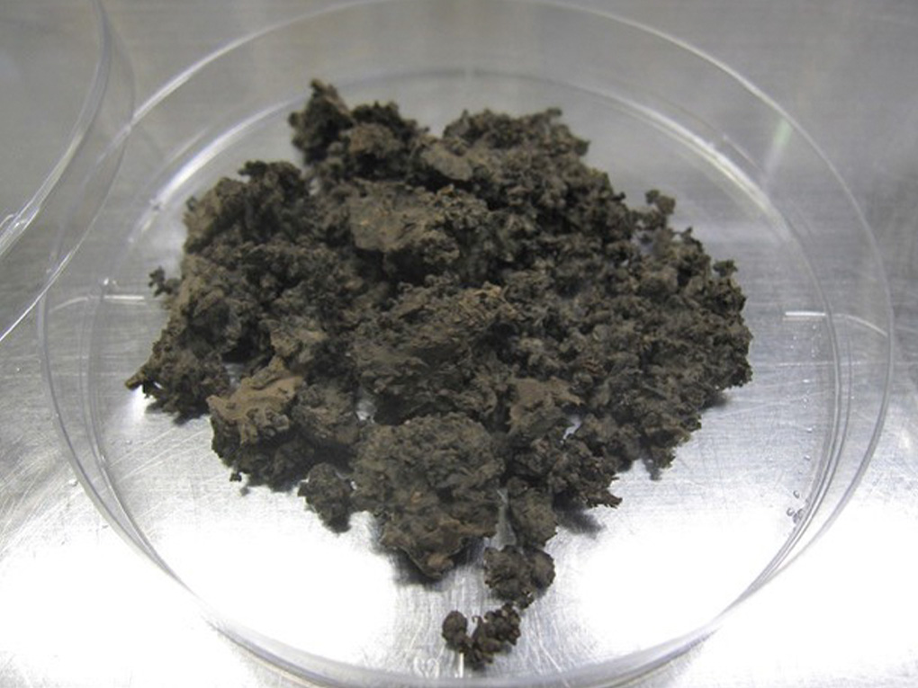 株式会社エンドファイト