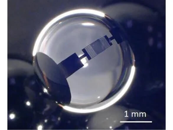 ボールウェーブ株式会社