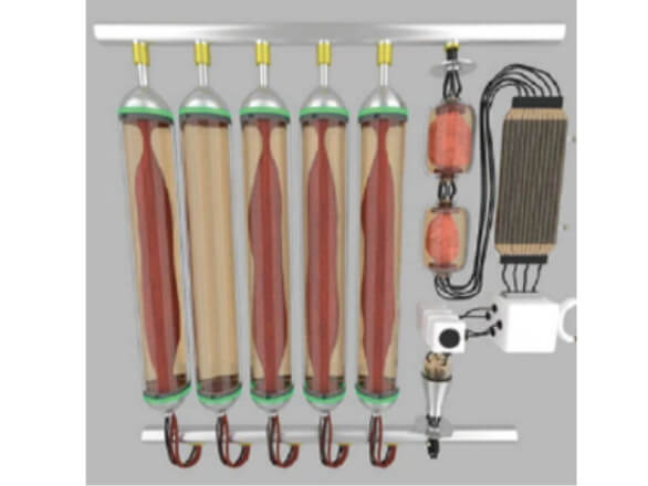 インテグリカルチャー株式会社