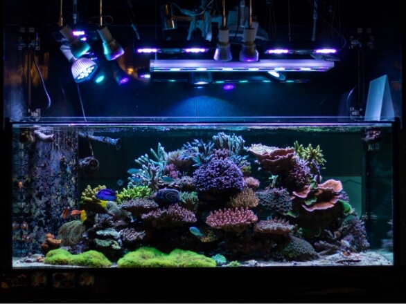 株式会社イノカ