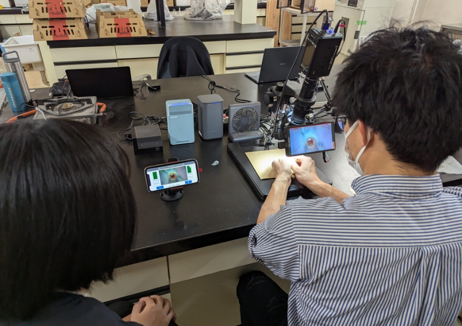 グローバルニッチなヒヨコAIによるニワトリの供給安定