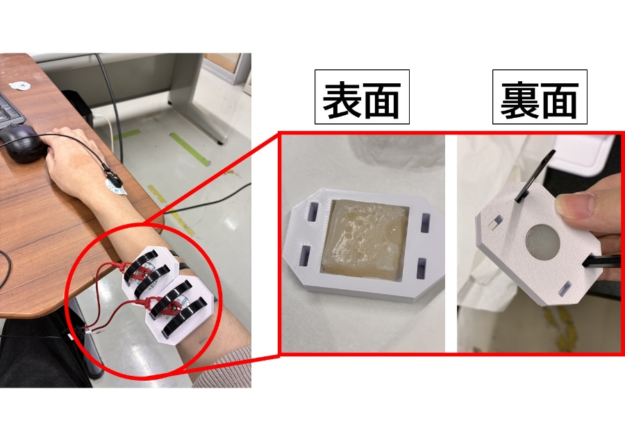 こんにゃくを用いた生体適合・SDGs型電極の開発