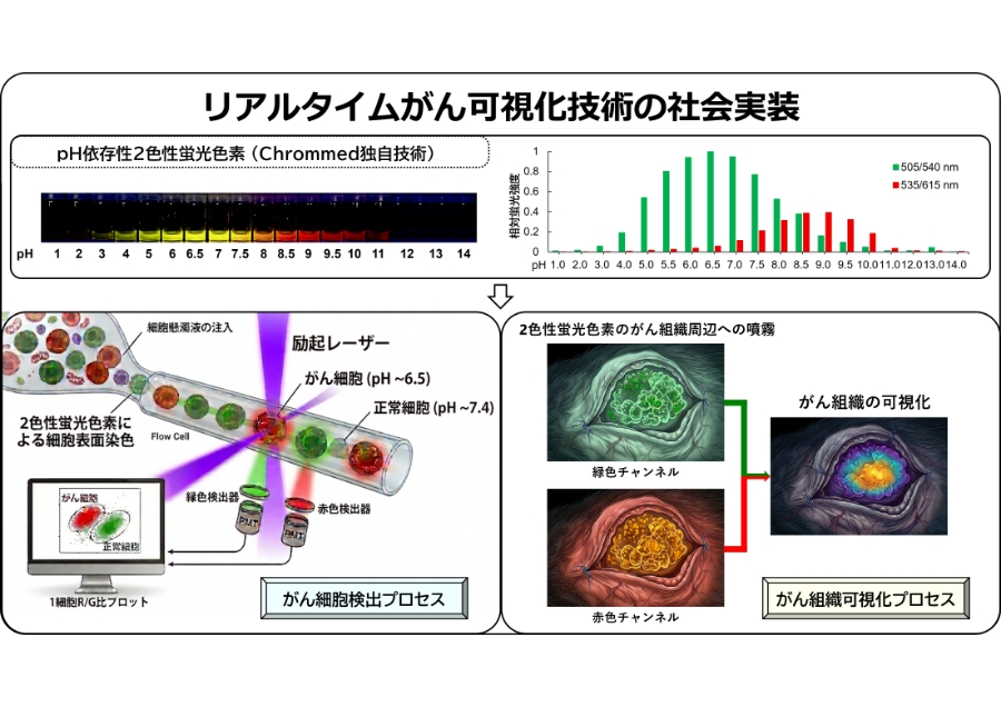 リアルタイムがん可視化技術の社会実装