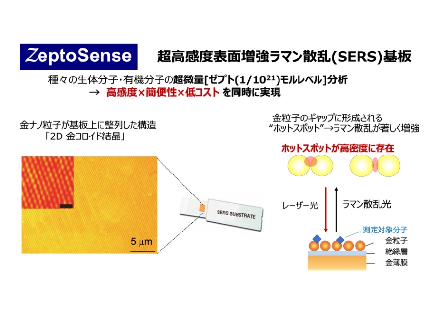 超高感度分析SERS プラットフォームの医療・環境 応用展開