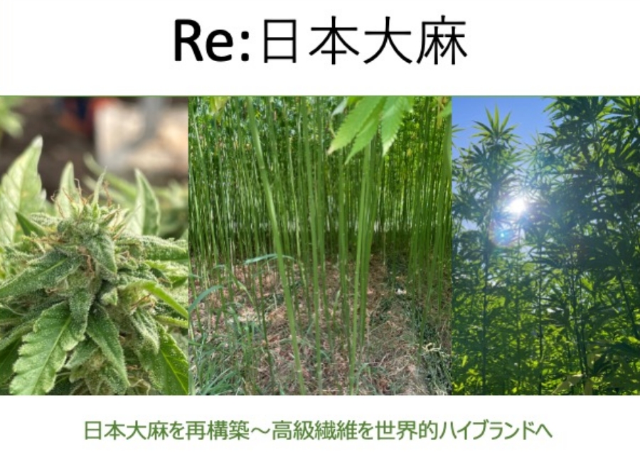 日本大麻を再構築～高級繊維を世界的ハイブランドへ